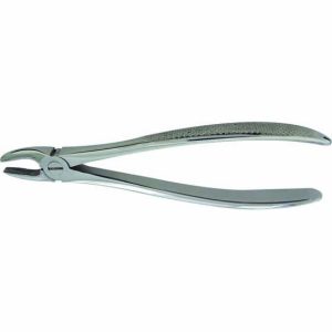 Extracting Forceps - Image 3