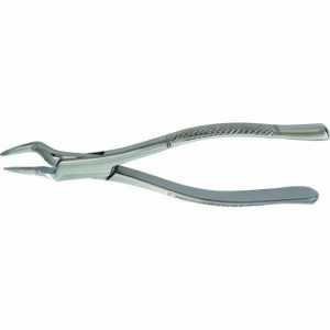 Extracting Forceps - American Pattern - Image 5
