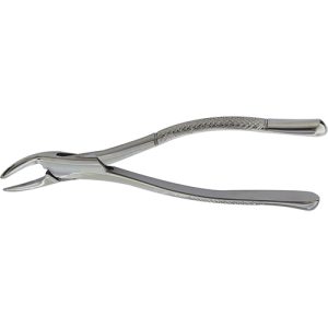 Extracting Forceps - American Pattern - Image 3