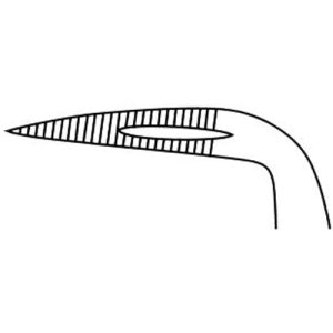 STEIGLITZ Splinter Forceps - Image 3